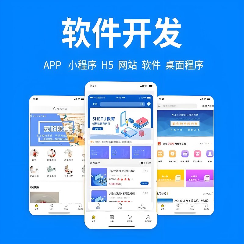 定制软件开发，为企业量身定做高效工具
